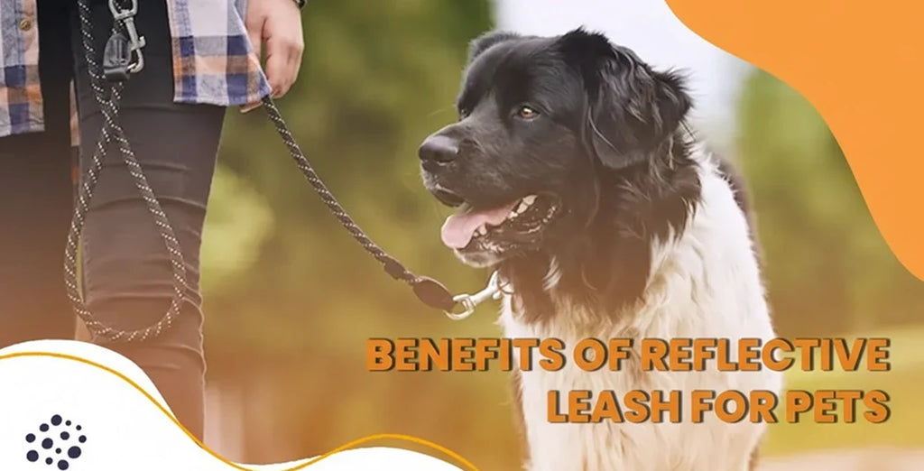 Benefits of Reflective Leash for Pets