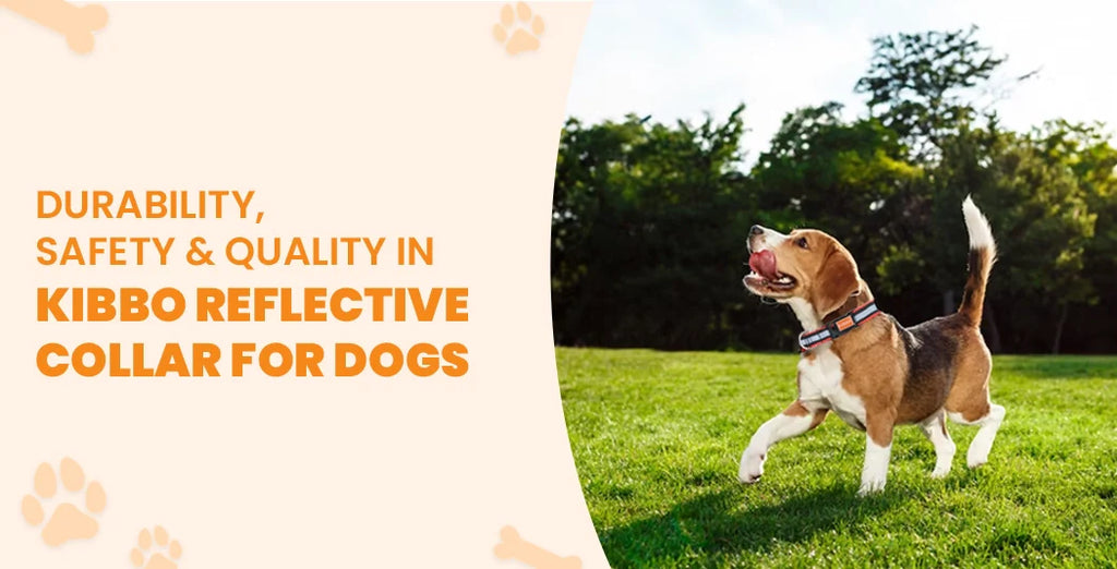 DURABILITY, SAFETY & QUALITY IN KIBBO REFLECTIVE COLLAR FOR DOGS