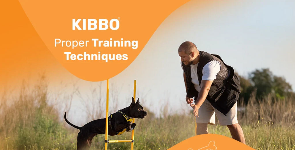 Proper Training Techniques