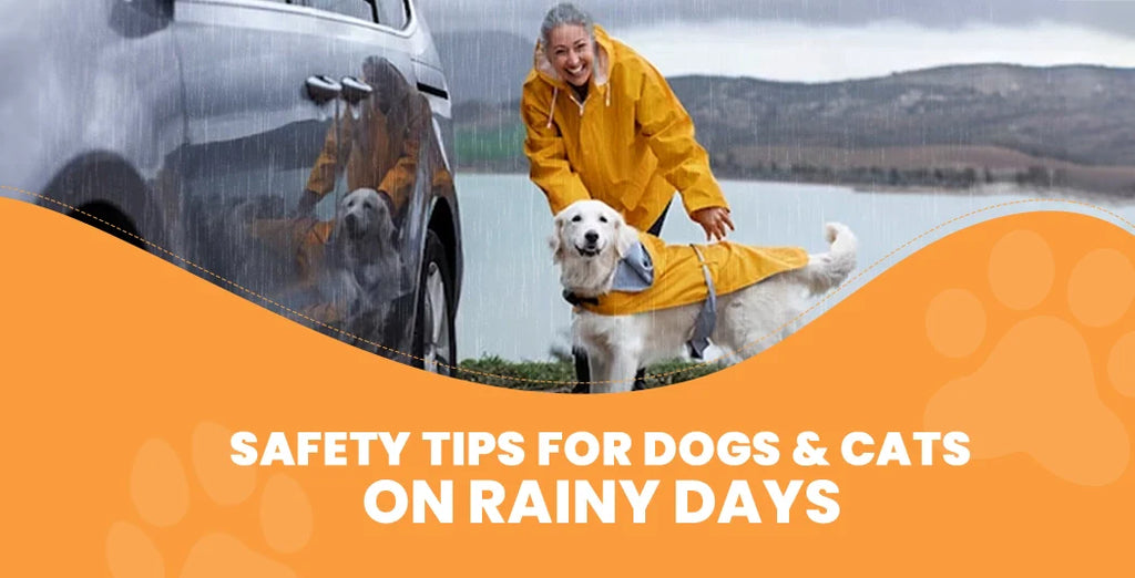 Safety Tips for Dogs & Cats on Rainy Days