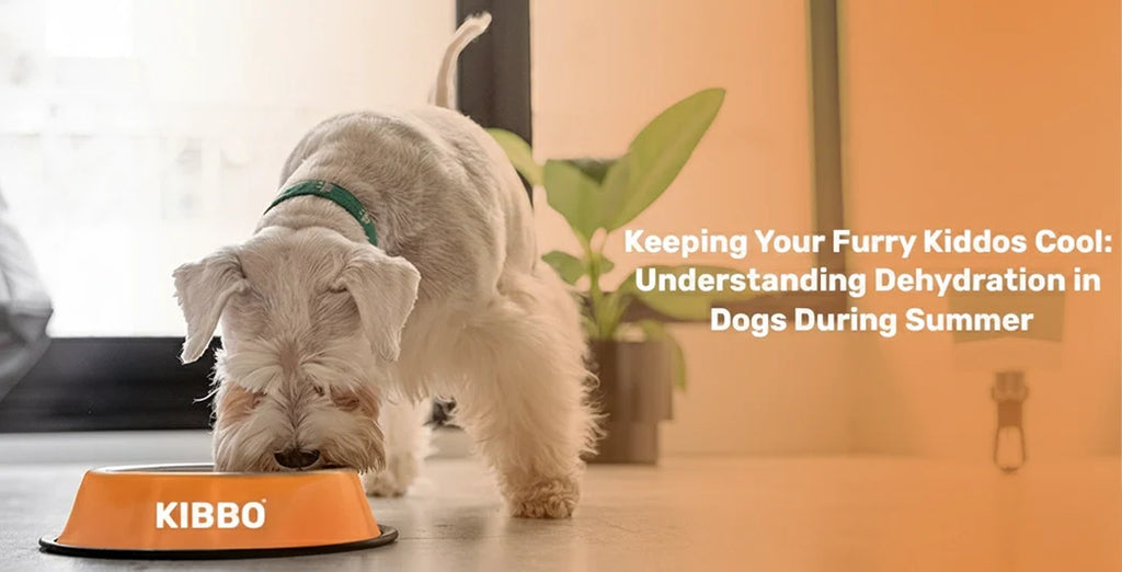 Keeping Your Furry Kiddos Cool: Understanding Dehydration in Dogs During Summer