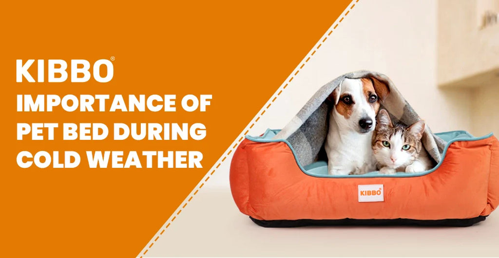 Importance of Pet Bed During Cold Weather