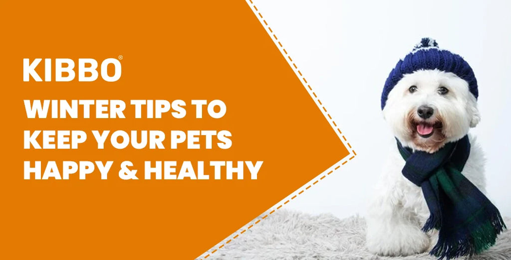Winter Tips to Keep Your Pets Happy and Healthy