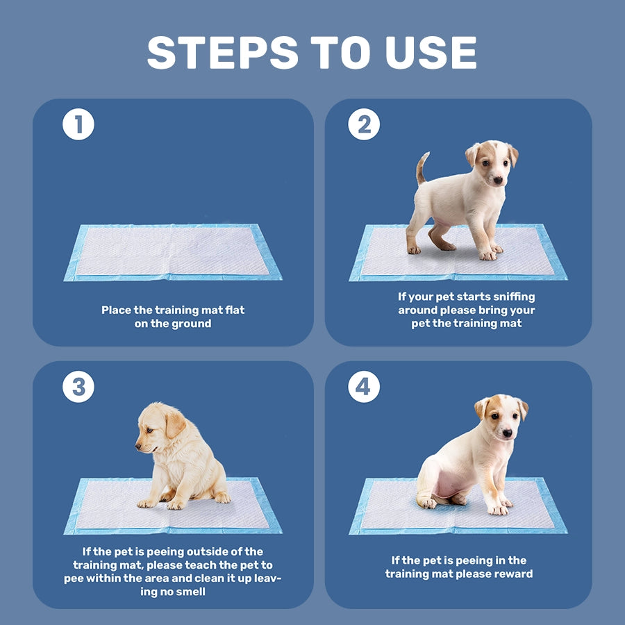 Training Pads for Dogs & Cats, Pack of 10 (45x60 CM)