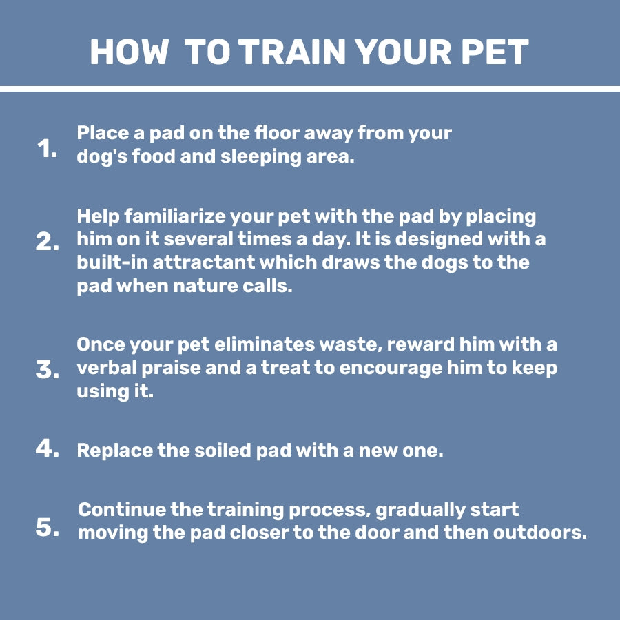 Training Pads for Dogs & Cats, Pack of 50 (45x60 CM)