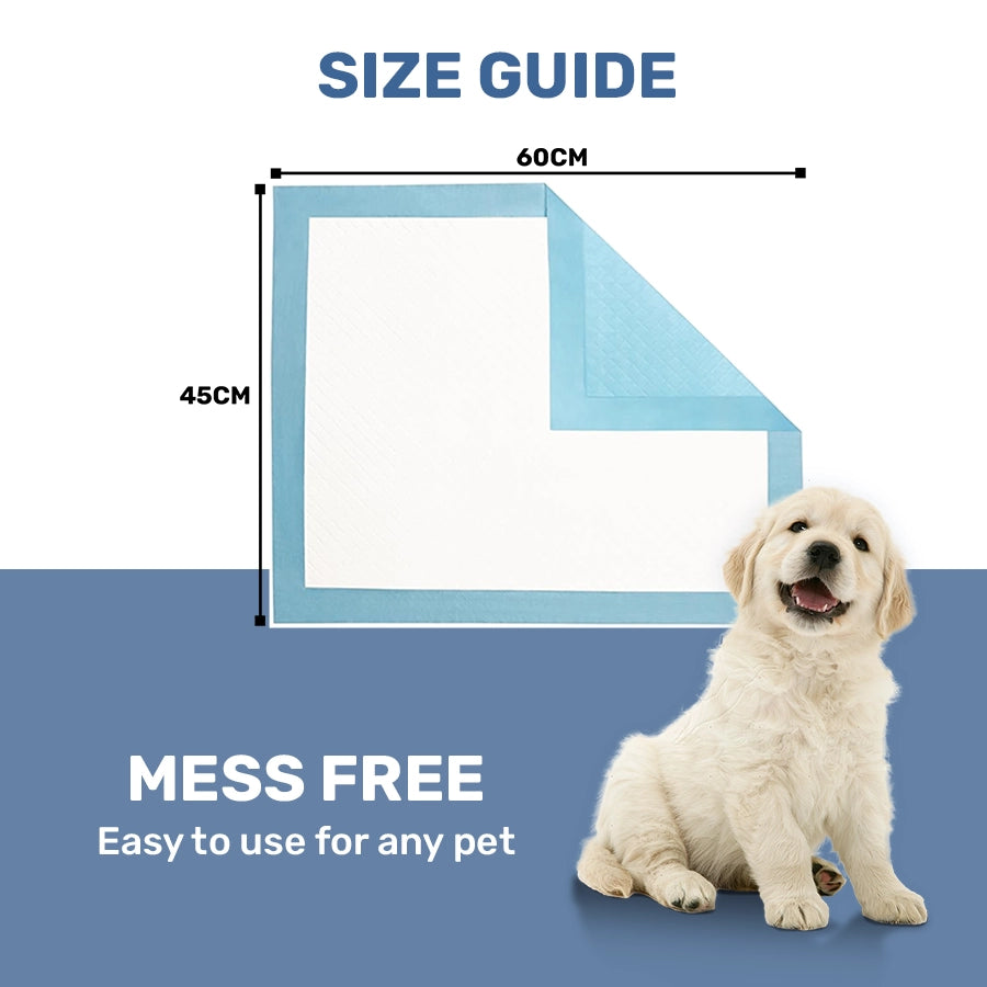 training pad for dogs