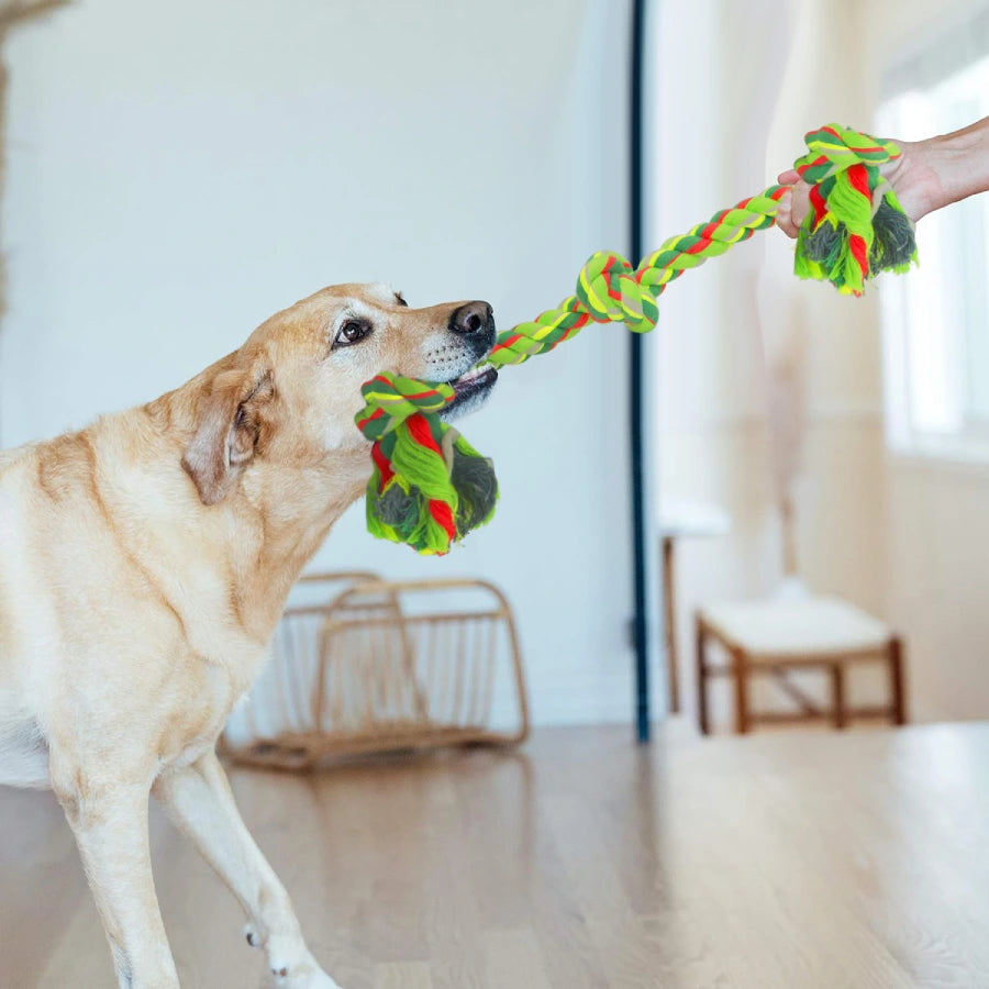 Rope Toy, Three Knot Tug