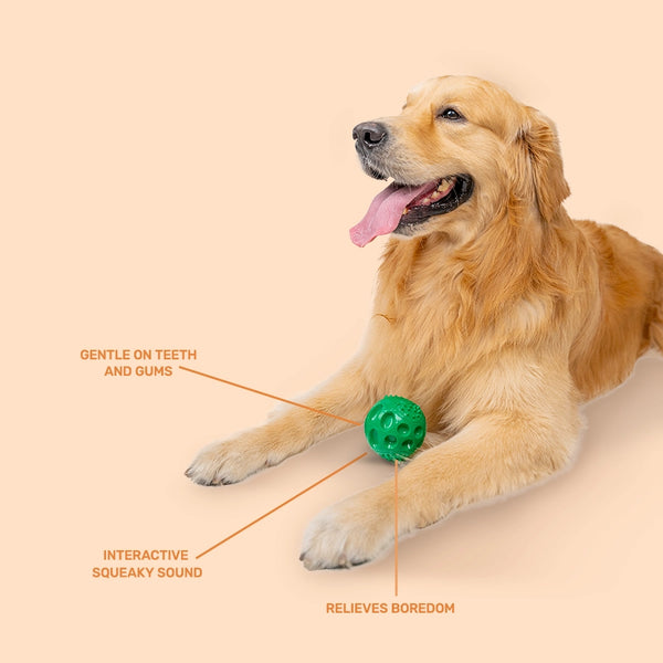 Rubber Toy, Squeaky Ball, Green – KIBBO - India's Premium Pet Ware