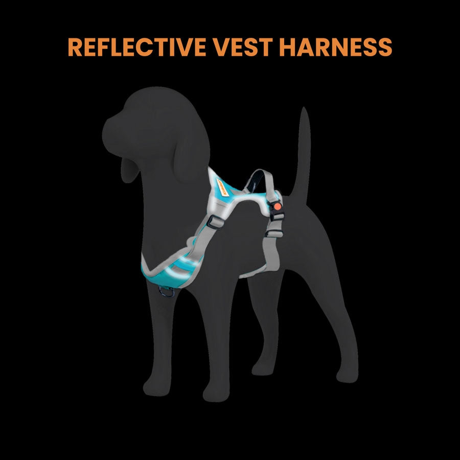 Reflective Vest Harness, Sea Green