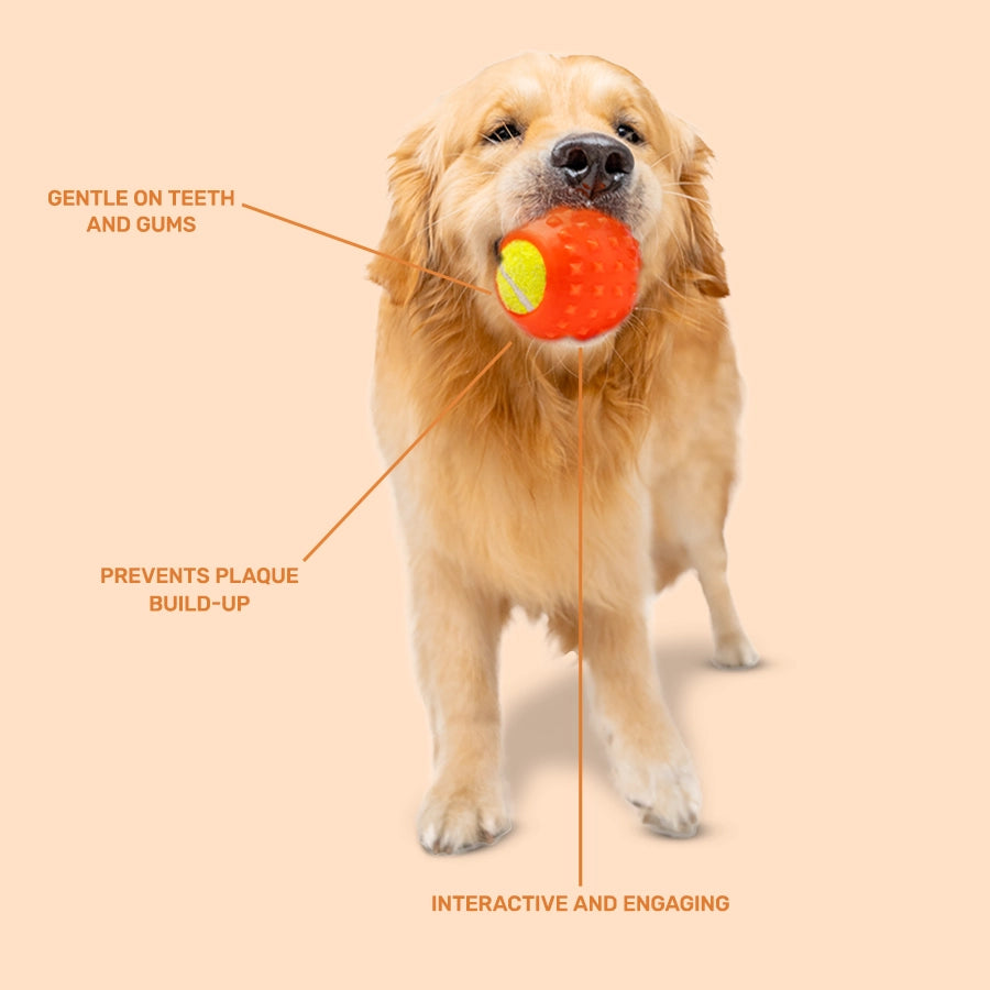 Rubber Toy, Tennis Ball, Orange Pack1