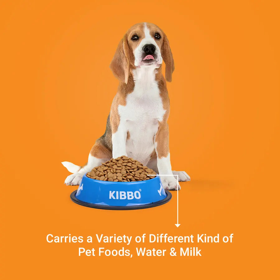 Anti Skid Bowl, Blue, Printed, Pack of 2