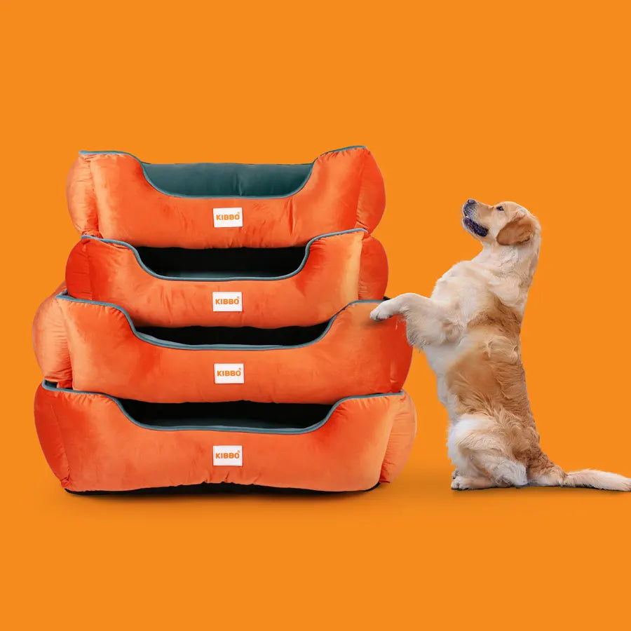 Lounger Bed, Orange & Green