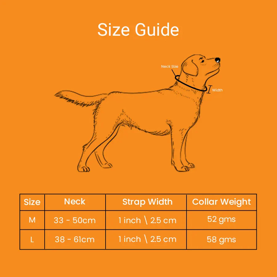 Reflective Padded Collar Pack1