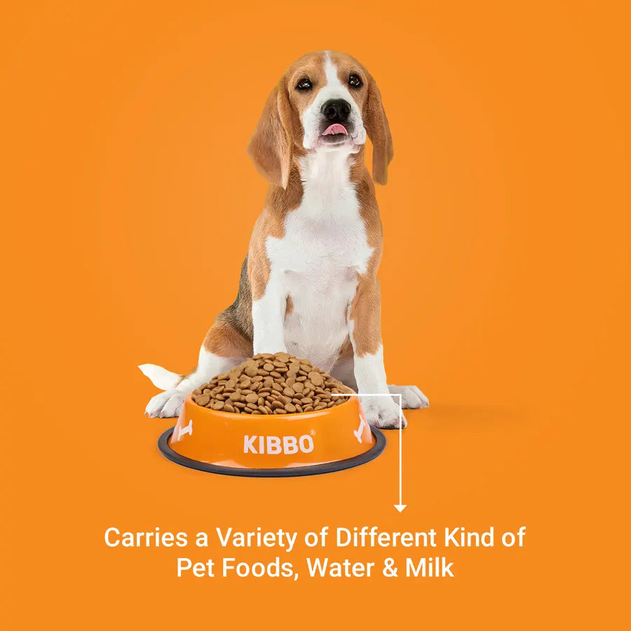 Anti Skid Bowl, Green, Blue & Orange, Printed, Pack of 3