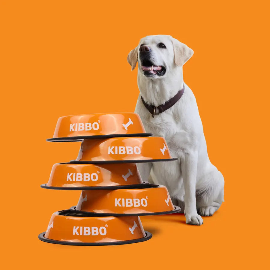 Anti Skid Bowl, Orange, Plain & Printed, Pack of 2