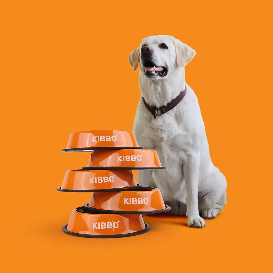 Anti Skid Bowl, Orange, Plain, Pack of 2