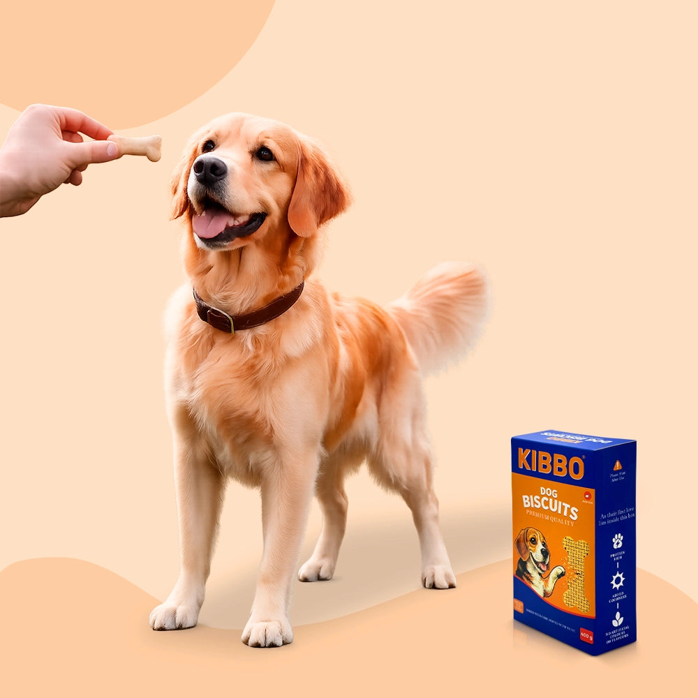 Dog Biscuit