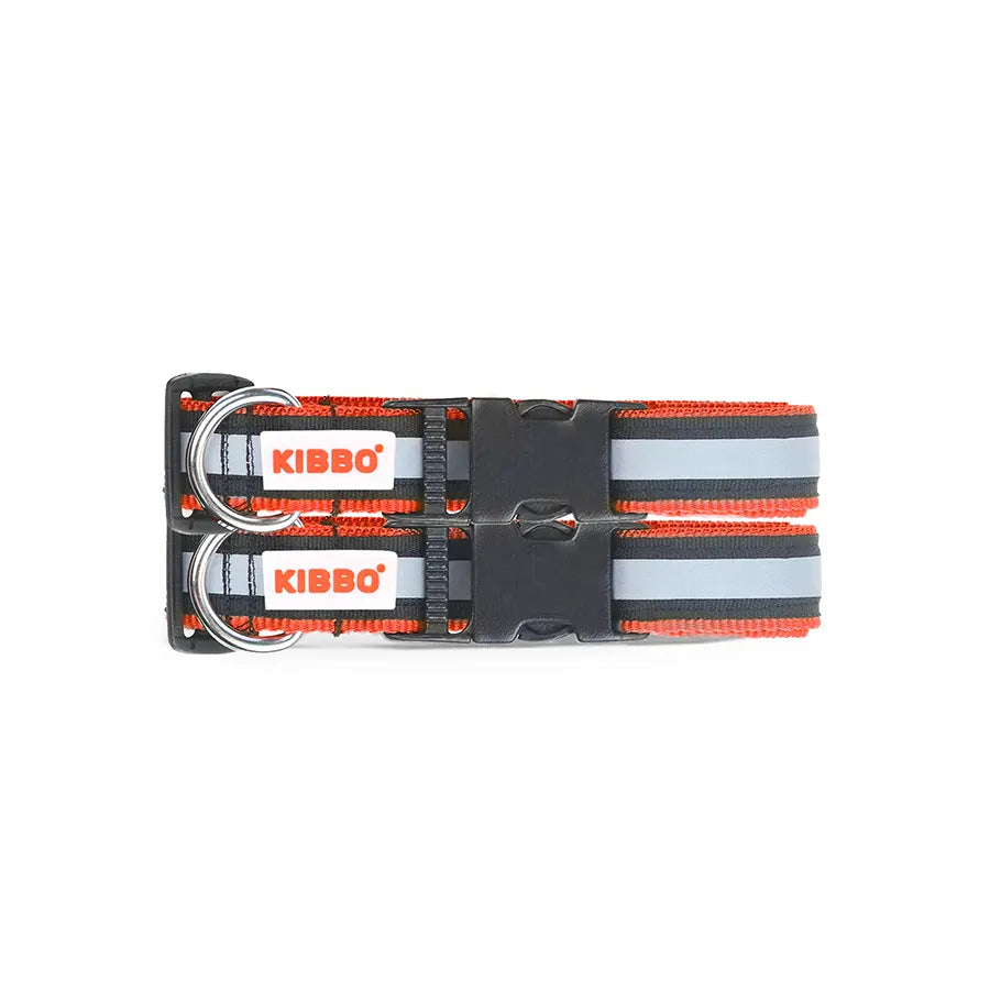 dog collar price online