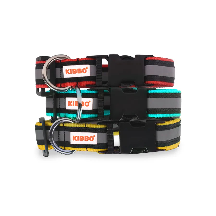 Reflective Nylon Pet Collar with D-Ring Multi Colour