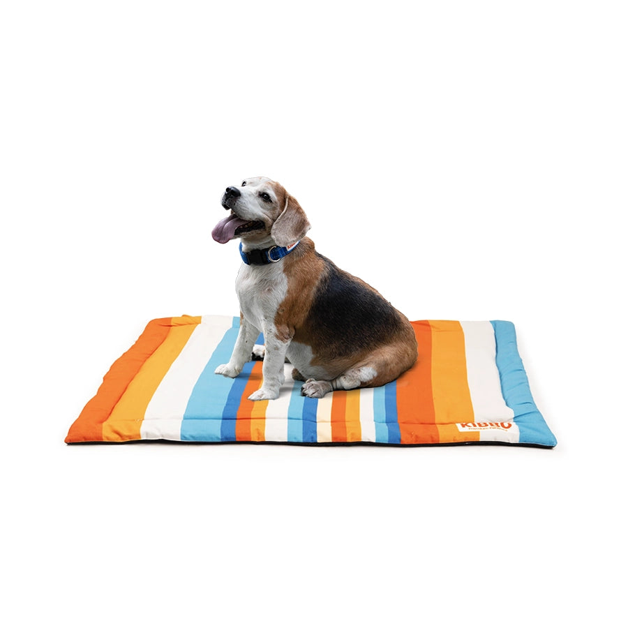 pet mat
