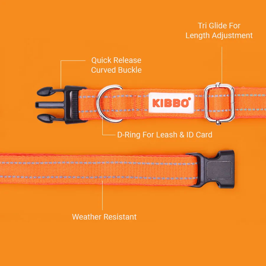 Essential Kit, Orange