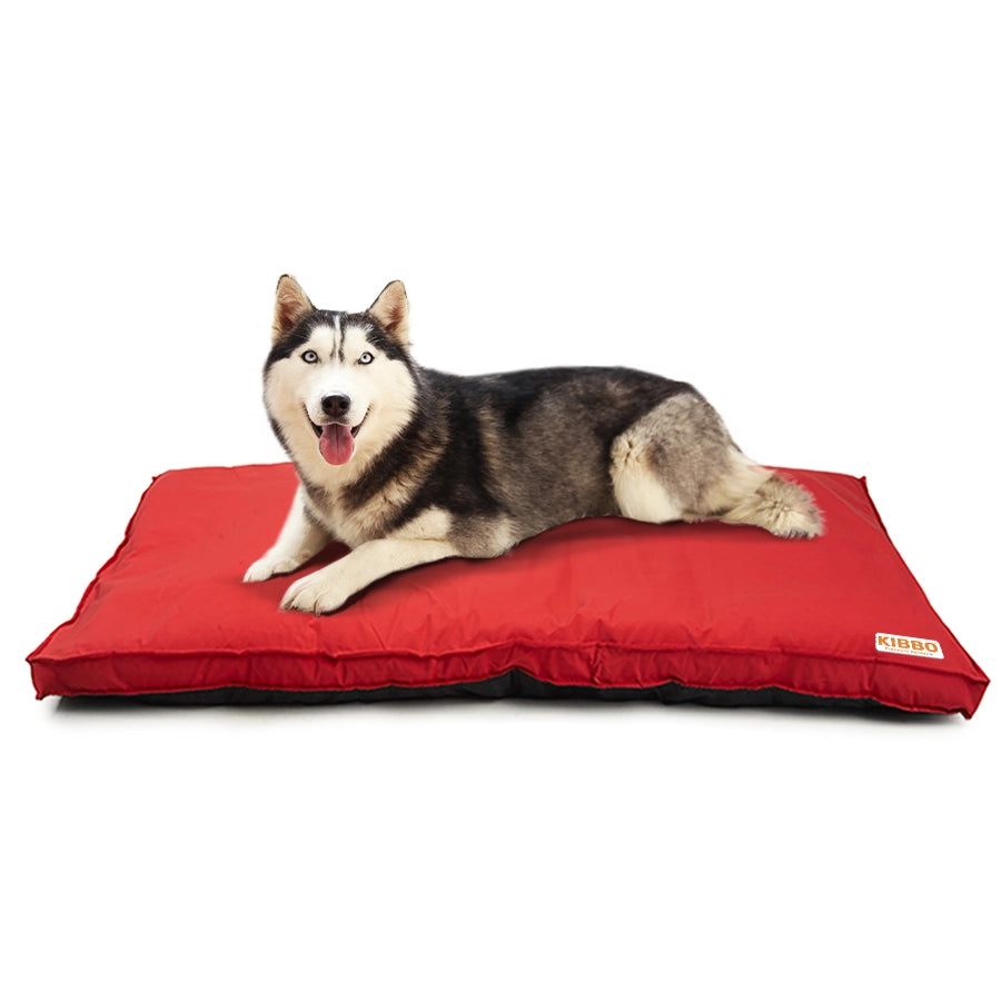 dog bed large