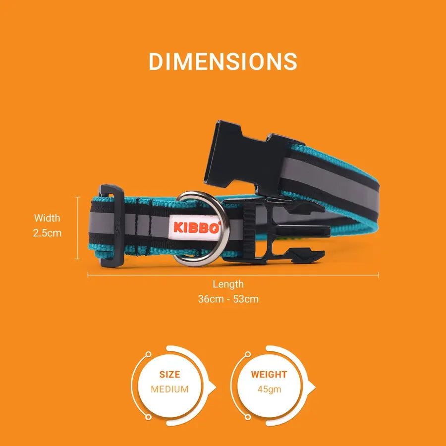 Dual Layered Reflective Nylon Pet Collar with D-Ring, Sea Green - Pack of 5