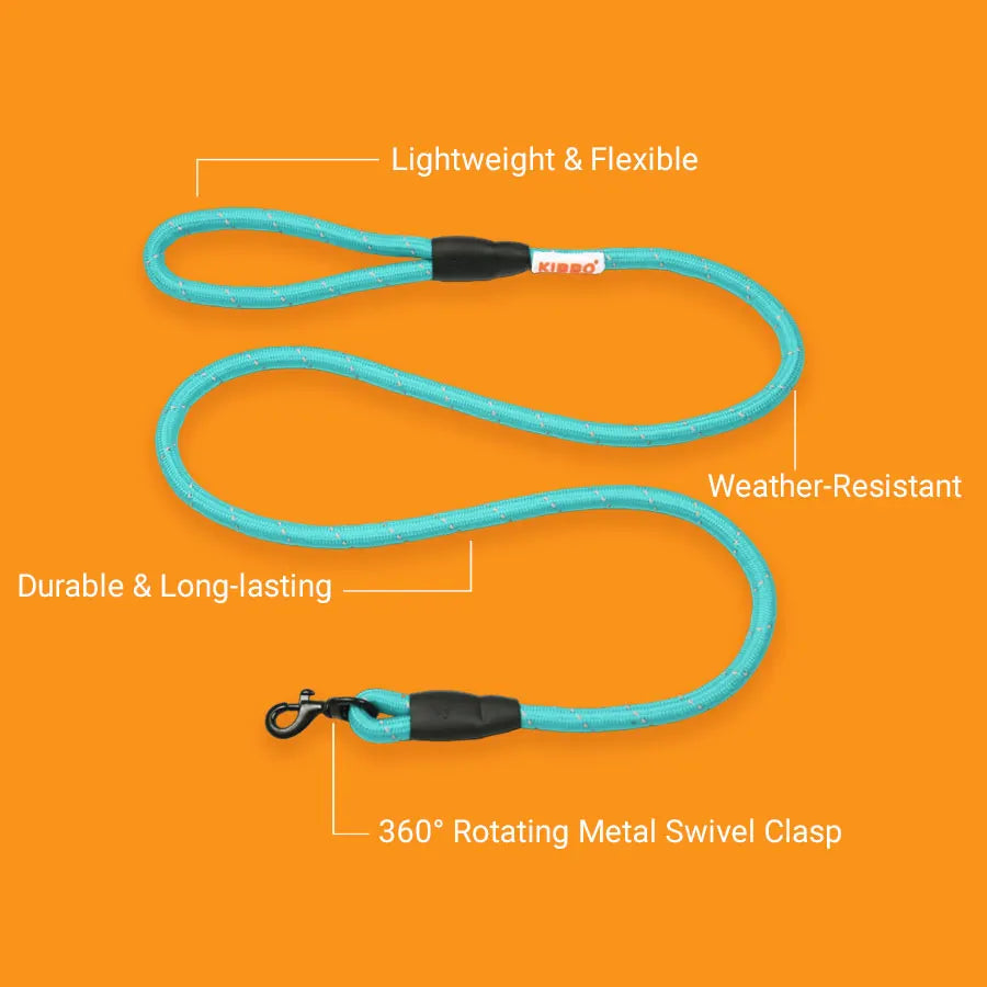 Reflective Rope Leash, Sea Green