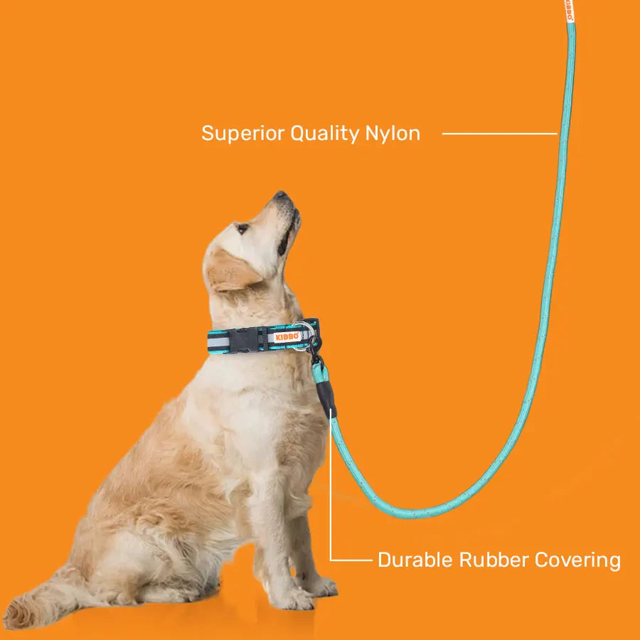 Reflective Rope Leash, Sea Green