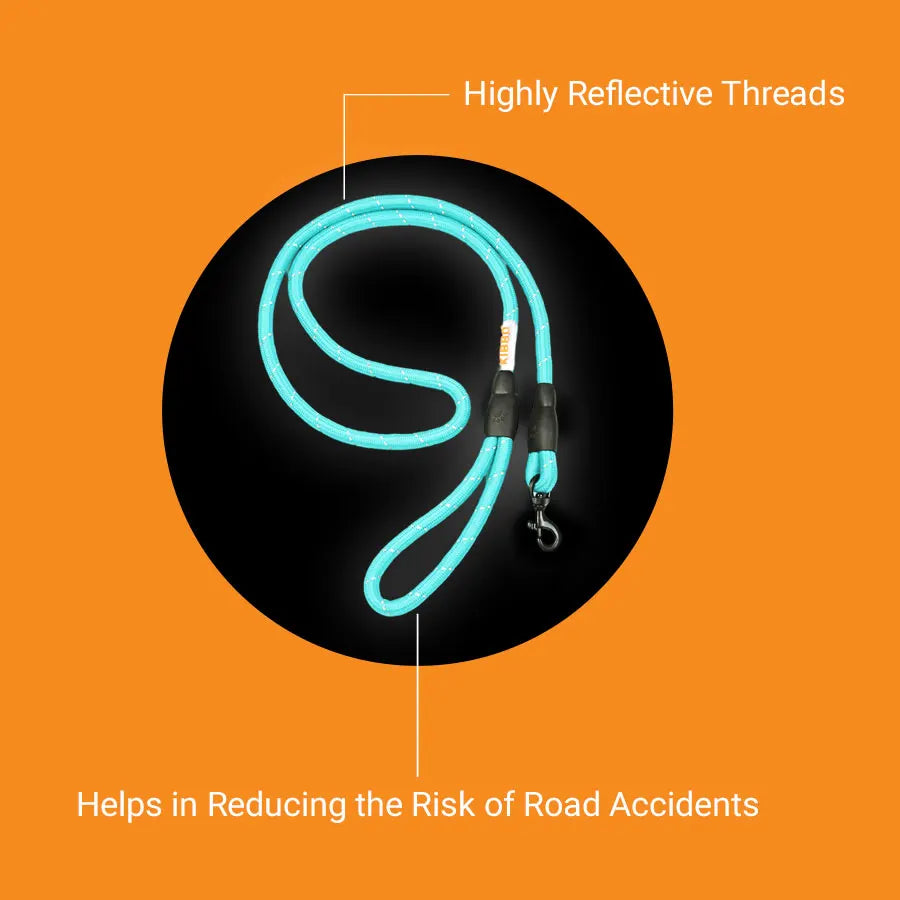 Reflective Rope Leash, Sea Green