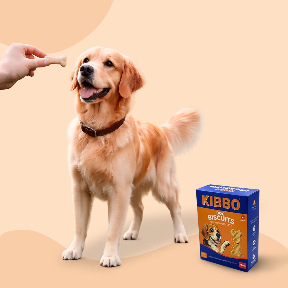Dog Biscuit