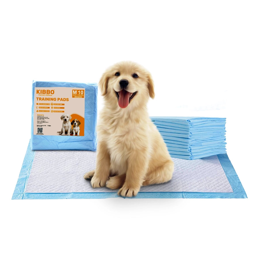Training Pads for Dogs & Cats, Pack of 10 (45x60 CM)