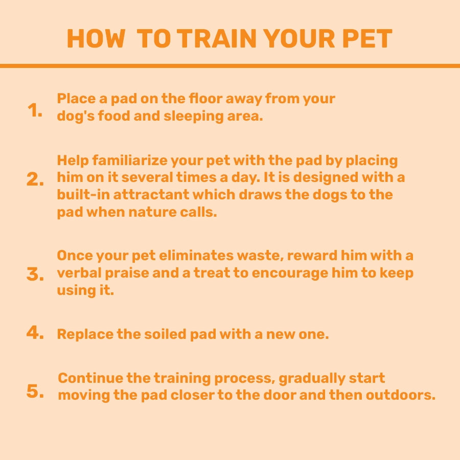 Training Pads for Dogs & Cats, Pack of 50 (45x60 CM)