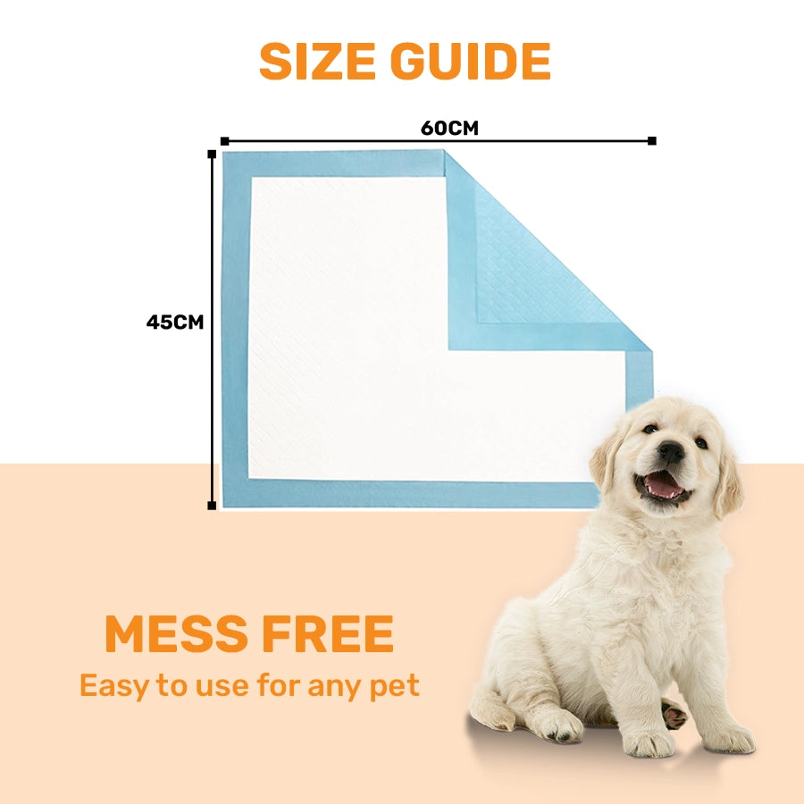 training pad for dogs