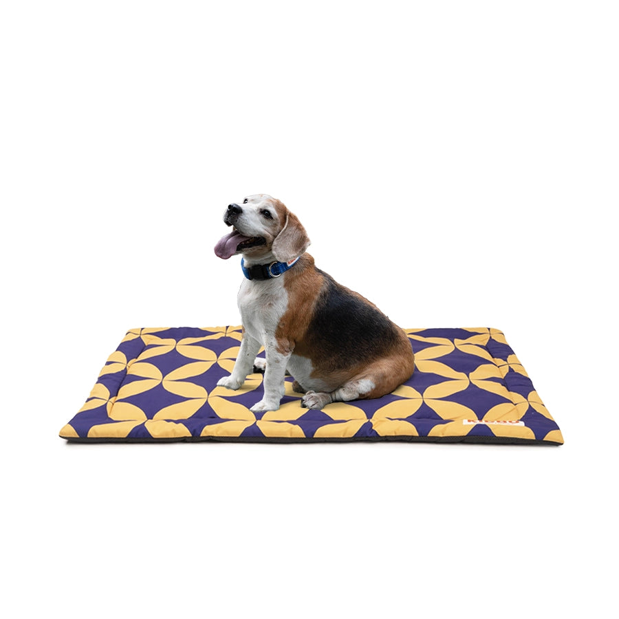 mat for dog