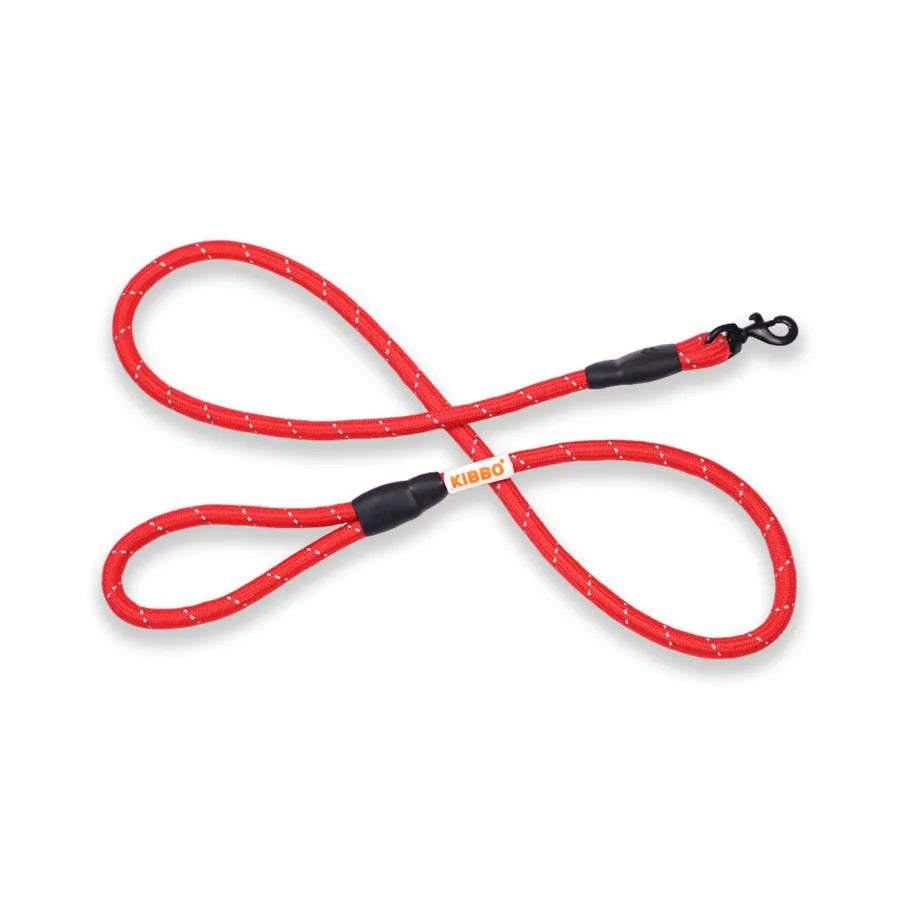 Reflective Rope Leash, Sea Green