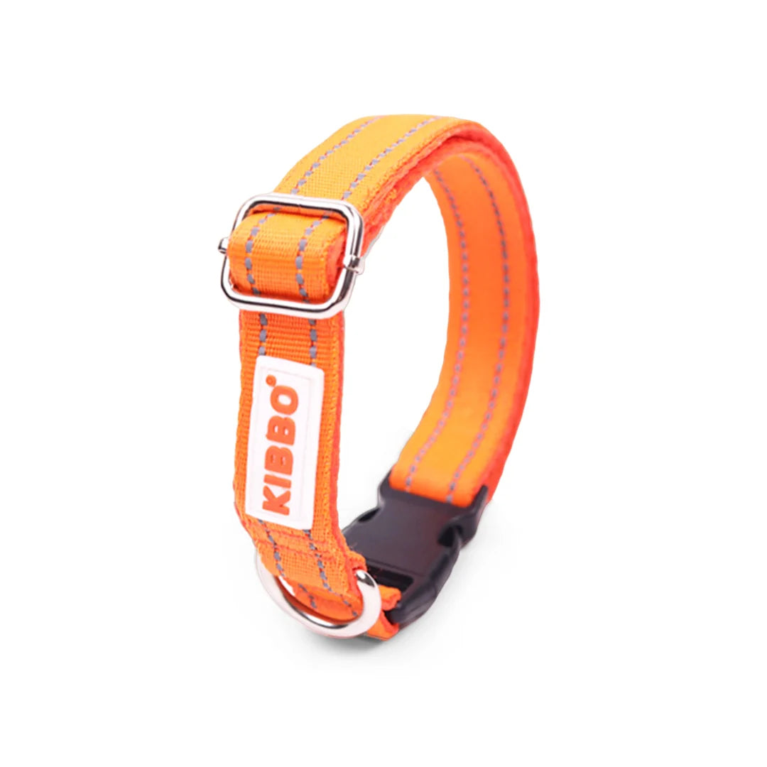 Reflective Padded Collar