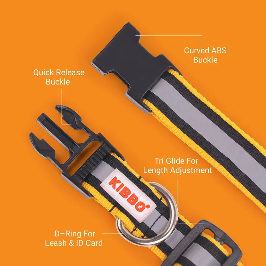 Reflective Collar, Yellow, Yellow & Sea Green, Pack of 3