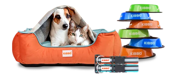 dog and cat accessories