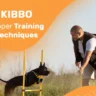 training of pets