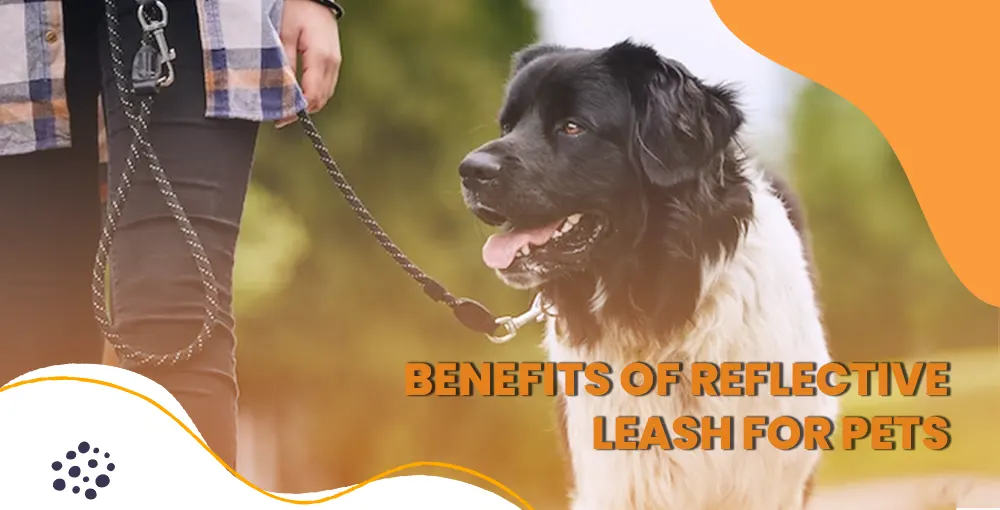 benefits of reflective leash for pets