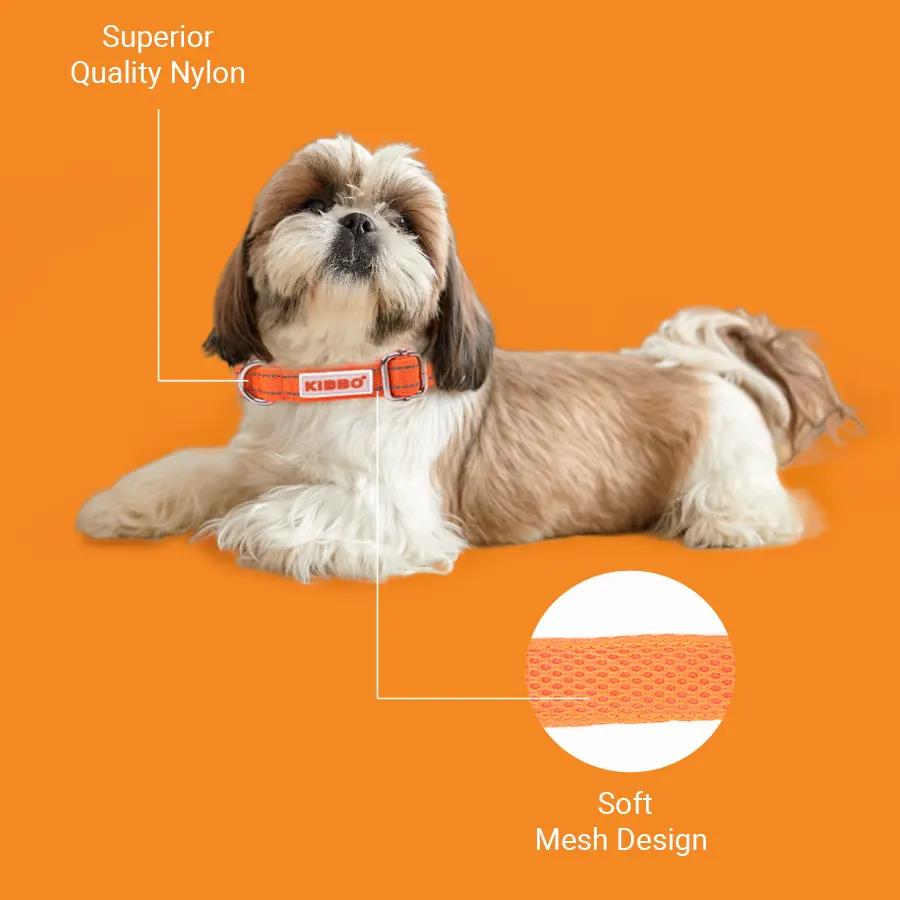 2-5.webp padded collars for dog