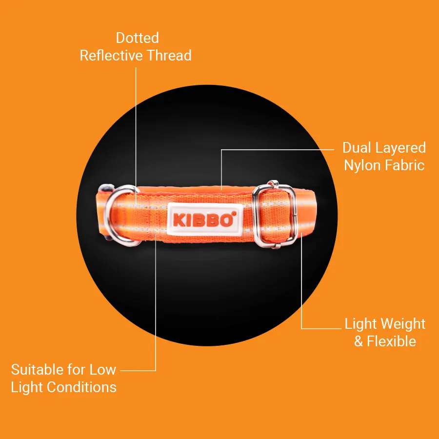 3-8.webp kibbo dog collar