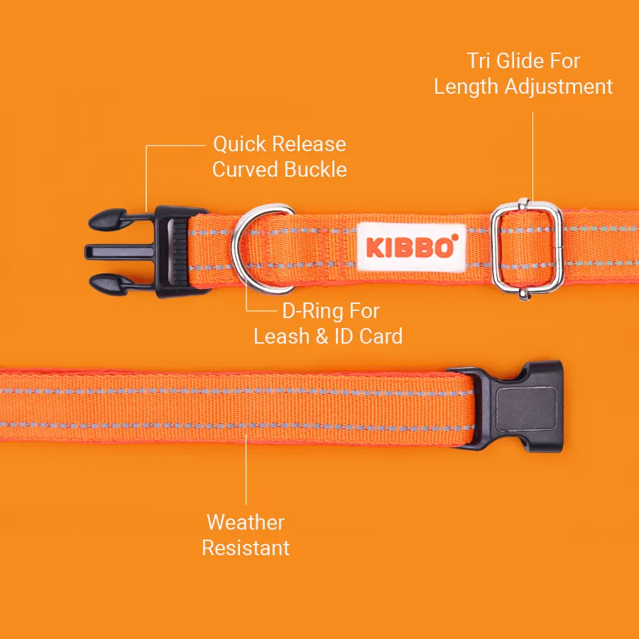 4-8.webp collars for dog online