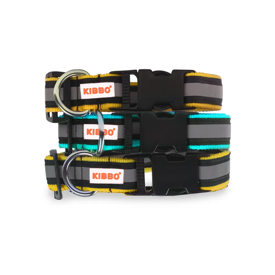 Collar_900 X 900px_8 Reflective Nylon Pet Collar with D-Ring Multi Colour