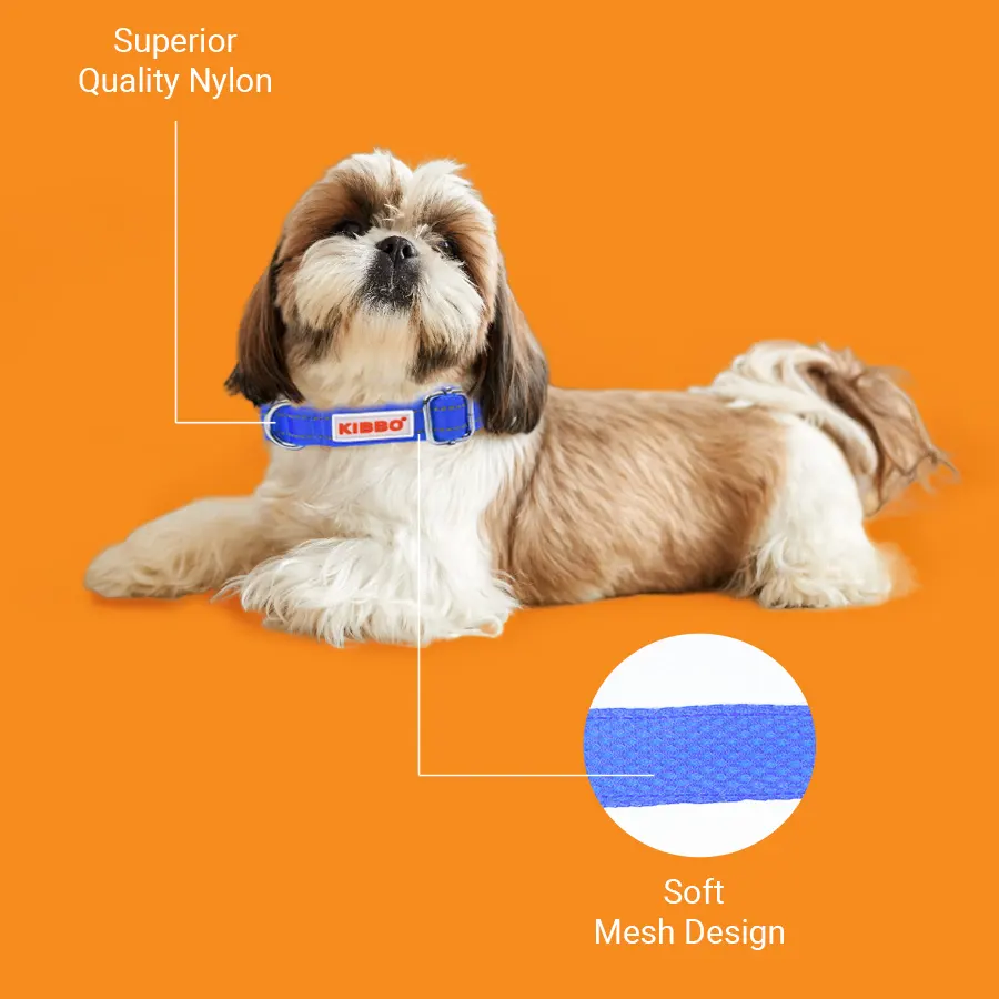 blue-2.webp padded collar price online