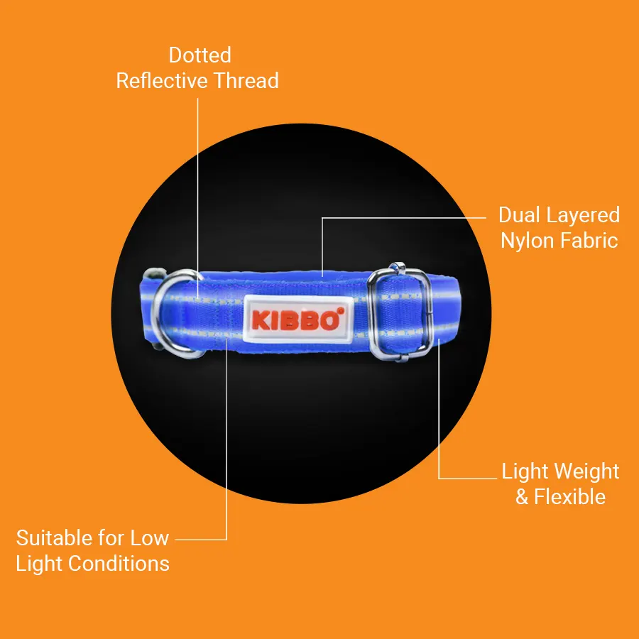 blue-3.webp dog collar