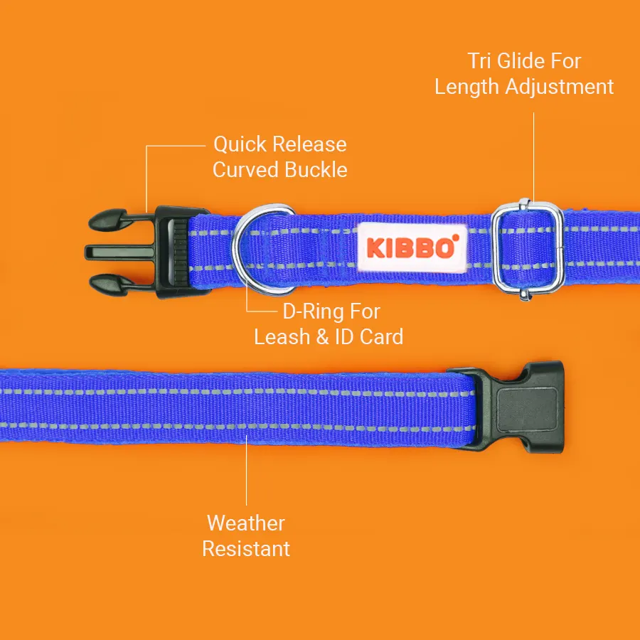 blue-4.webp best dog collar