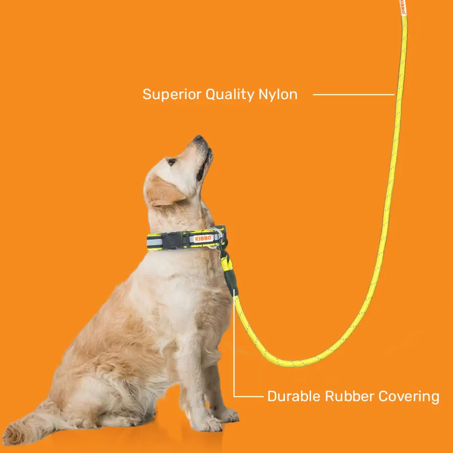 img_3.1-1.webp rope leash for dogs