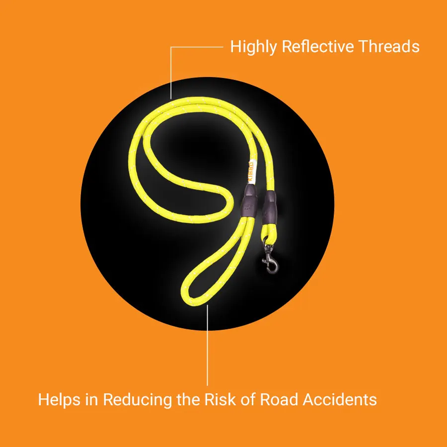 img_4.1-1.webp buy rope leash online